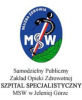 logo msw